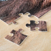 PUZZLE ORANGUTANS (Côté)