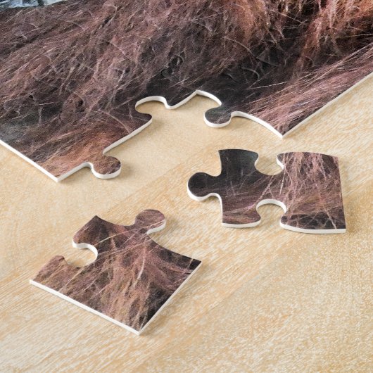 PUZZLE ORANGUTANS (Côté)