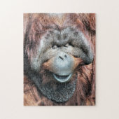 PUZZLE ORANGUTANS (Vertical)