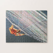 Puzzle Orb Spider on Web  (Horizontal)