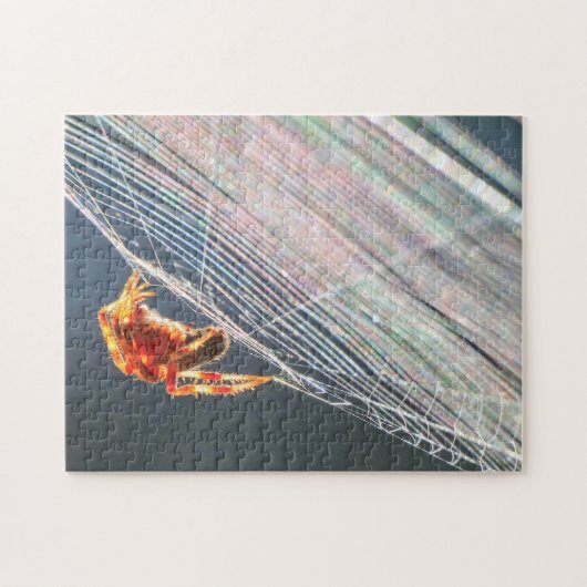 Puzzle Orb Spider on Web (Horizontal)