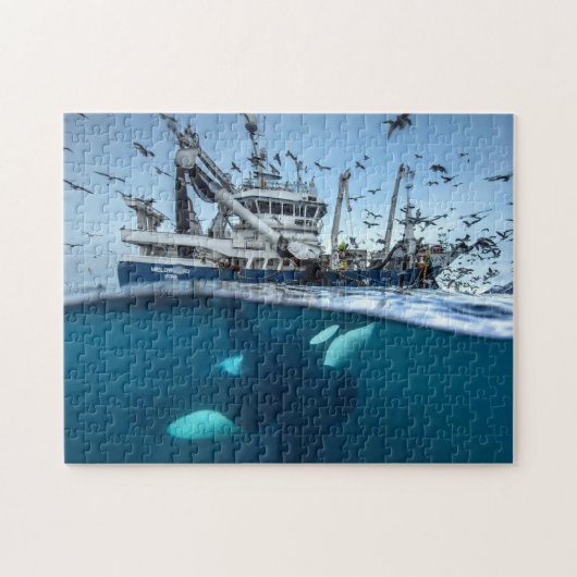 Puzzle Orca Killer Whale Commerce Bateau de pêche Océan (Horizontal)
