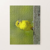 Puzzle Orchard Oriole - Photo originale (Vertical)