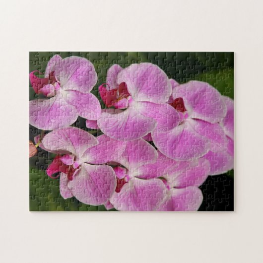 Puzzle - Orchid (Horizontal)