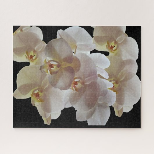 Puzzle ORCHID BLANC (Horizontal)