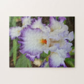 puzzle - Orchidée blanche à poitrine violette (Horizontal)