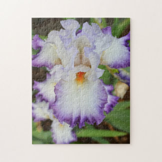 puzzle - Orchidée blanche à poitrine violette