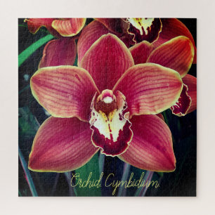 Puzzle Orchidée. Cymbidium