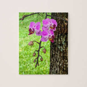 Puzzle Orchidée d'arbre en fleurs
