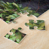 Puzzle Orchidée Dracula (Côté)