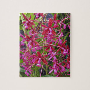 Puzzle Orchidée rose