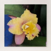 Puzzle Orchidée rose et jaune pastel (Horizontal)