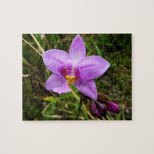 Puzzle Orchidée sauvage violette Fleur tropicale (Horizontal)