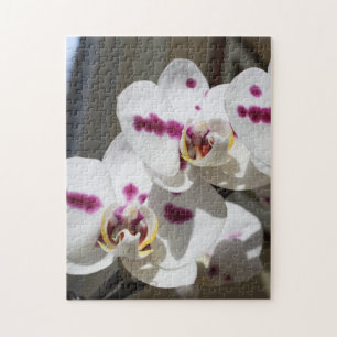 Puzzle Orchidée tachetée blanche et rose