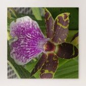 Puzzle Orchidée tachetée violette et verte (Horizontal)