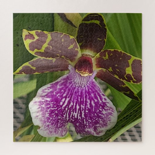 Puzzle Orchidée tachetée violette et verte (Vertical)