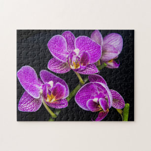 Puzzle Orchidée violette