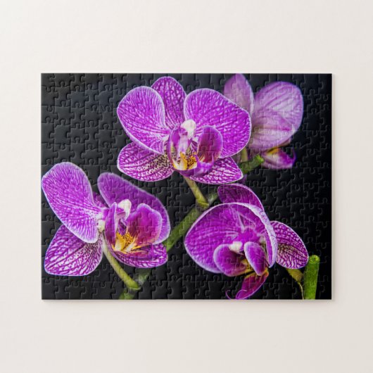 Puzzle Orchidée violette (Horizontal)