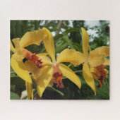 Puzzle Orchidées (Horizontal)