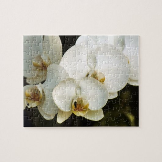 Puzzle Orchidées (Horizontal)
