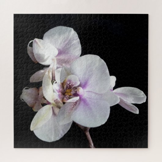 Puzzle Orchidées (Horizontal)