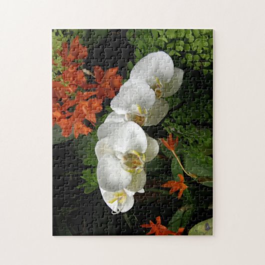 puzzle - Orchidées blanches (Vertical)