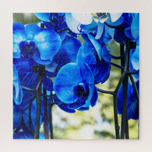 Puzzle Orchidées bleues (Vertical)