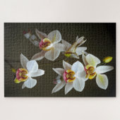 Puzzle Orchidées Dendroium (Horizontal)