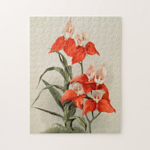 Puzzle Orchidées Fleur florissante Vintage vieille illust