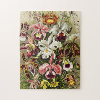 Puzzle Orchidées, Orchidée Denusblumen Ernst Haeckel