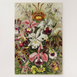 Puzzle Orchidées, Orchidée Denusblumen Ernst Haeckel<br><div class="desc">Orchidées,  Orchidée Denusblumen Ernst Haeckel de Kunstformen der Natur (1904) Carte postale. Joli Vintage Belle illustration colorée marron rouge foncé rose marron blanc fleurs</div>
