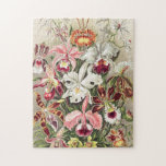 Puzzle Orchidées, Orchidée Denusblumen par Ernst Haeckel<br><div class="desc">Orchidées,  Orchidée Denusblumen par Ernst Haeckel Plantes Vintages Jigsaw Puzzle.</div>