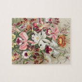 Puzzle Orchidées, Orchidée Denusblumen par Ernst Haeckel (Horizontal)