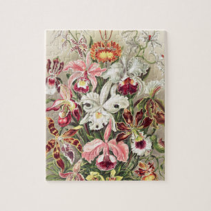 Puzzle Orchidées, Orchidée Denusblumen par Ernst Haeckel