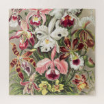Puzzle Orchidées, Orchidées Denusblumen par Ernst Haeckel<br><div class="desc">Orchidées,  Orchidée Denusblumen par Ernst Haeckel Plantes Vintages Jigsaw Puzzle.</div>