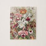Puzzle Orchidées, Orchidées Denusblumen par Ernst Haeckel<br><div class="desc">Orchidées,  Orchidée Denusblumen par Ernst Haeckel Plantes Vintages Jigsaw Puzzle.</div>