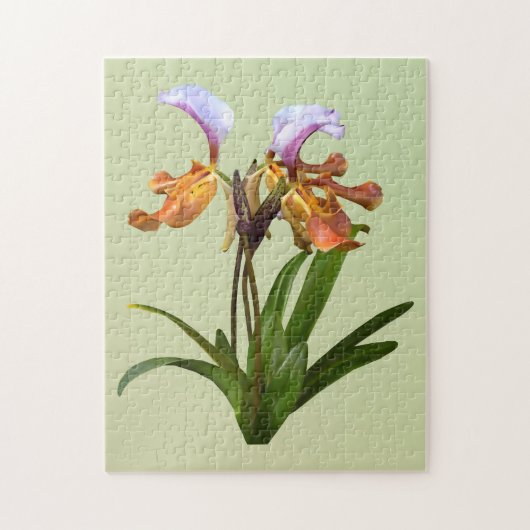 Puzzle Orchidées paphiopedilum interreliées (Vertical)