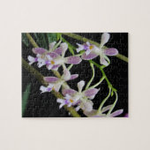 Puzzle Orchidées violettes et blanches (Horizontal)