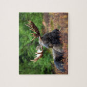 Puzzle Orignal (Vertical)