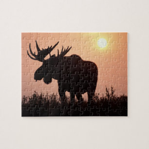 Puzzle orignal, Alces alces, taureau avec grands bois,