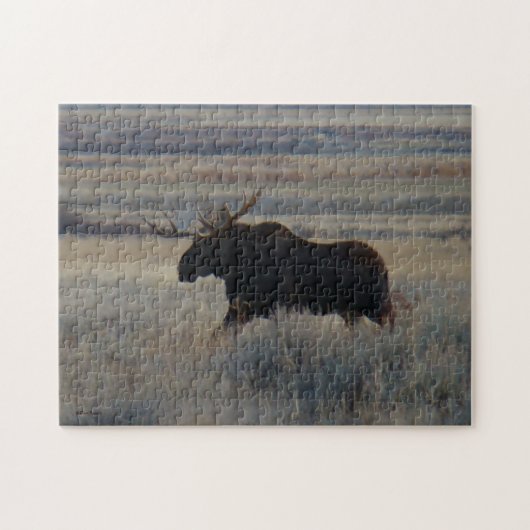 Puzzle Orignal M2 (Horizontal)