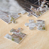 Puzzle Orignal mâle de Shiras (Côté)