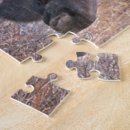 Puzzle Orignaux d'Alaska (Côté)