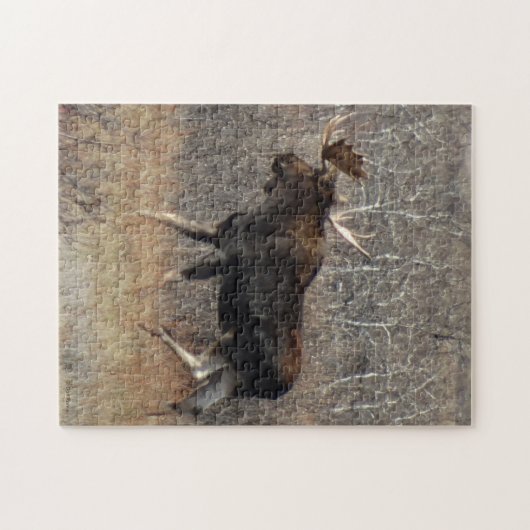 Puzzle Orignaux de M8 Taureau (Horizontal)