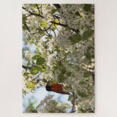 Puzzle Oriole de Boston (Vertical)