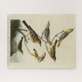 Puzzle Orioles, Thrushes, des oiseaux d'Amérique d'Audubo (Horizontal)