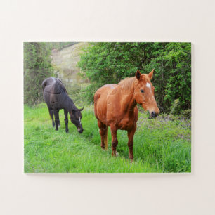 Puzzle Orion et North Star