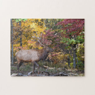 Puzzle Ornière dominante d'automne d'élans de Taureau