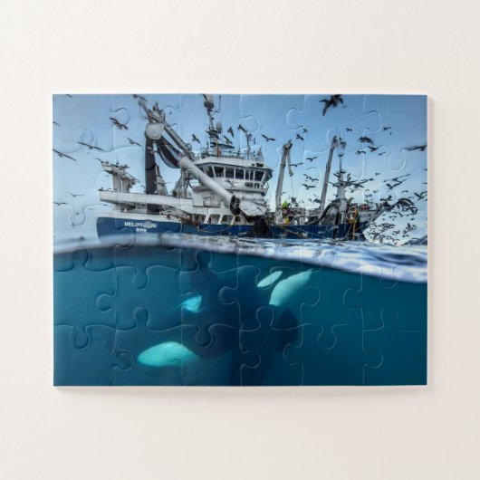 Puzzle Orque épaulard bateau de pêche commerciale océan (Horizontal)