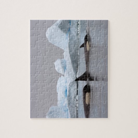 Puzzle orques (orques), orques orques, pod (Vertical)